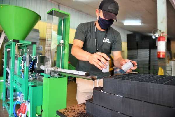 Vivero de Itaipu deja de usar macetas de plástico en la producción de plantines