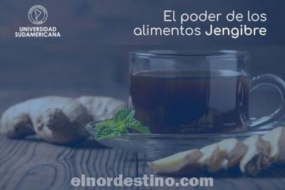Universidad Sudamericana recomienda el jengibre y otros como positivos para la actividad del tracto gastrointestinal