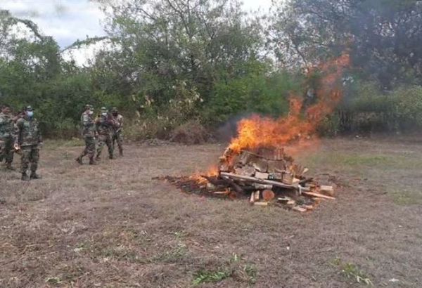 Incineran 368 kilos de marihuana paraguaya en Bolivia