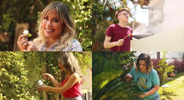 ABC quiere ayudar a salvar el planeta mediante la reforestación - Nacionales - ABC Color