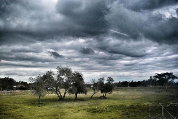 ¿Cómo disminuir la problemática del aire contaminado?