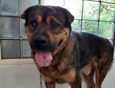 Crónica / “Vaicho” ligó un disparo y el rollo se indignó en Coronel Oviedo