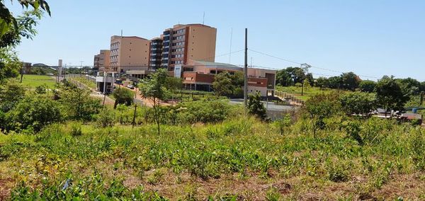 Avivados quieren apropiarse de una plaza en cercanía del nuevo Poder Judicial  - ABC en el Este - ABC Color