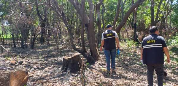 Talaban especies nativas para postes sin ningún criterio ambiental y alteraron un cauce hídrico » Ñanduti