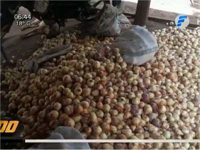 Productores temen perder 40.000 kilos de cebolla por el contrabando