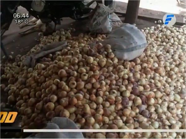 Productores temen perder 40.000 kilos de cebolla por el contrabando