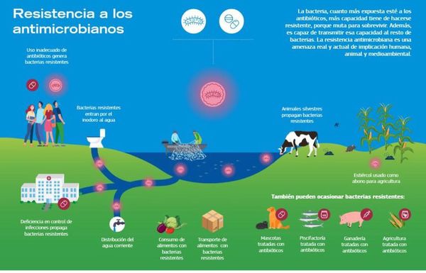 Los antibióticos mal utilizados afectan la salud y el ambiente - Ciencia - ABC Color