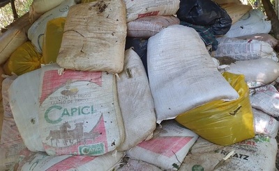 Incautan más de 41 toneladas de marihuana en Canindeyu