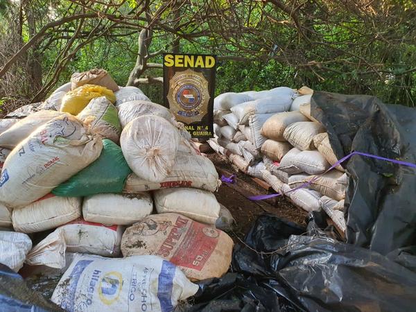 Canindeyú: Incautan más de 41 toneladas de marihuana luego de tres allanamientos en simultáneo » Ñanduti
