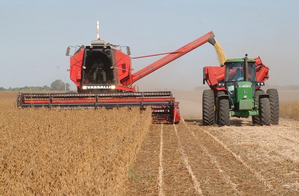 La próxima cosecha argentina de soja y maíz llegaría a un valor récord en divisas - MarketData