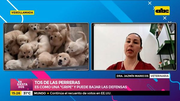 ¿En qué consiste la tos de las perreras? - Ensiestados - ABC Color