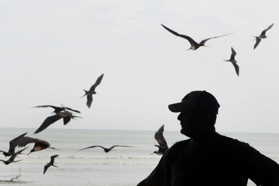 WWF lanza en Ecuador proyecto de pesca sostenible, digital y responsable - MarketData