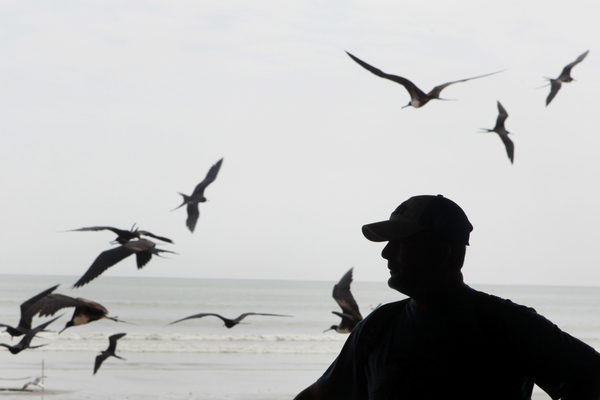 WWF lanza en Ecuador proyecto de pesca sostenible, digital y responsable - MarketData