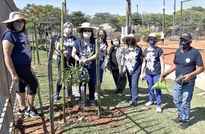 Celebran cincuentenario plantando árboles en la APT - Polideportivo - ABC Color