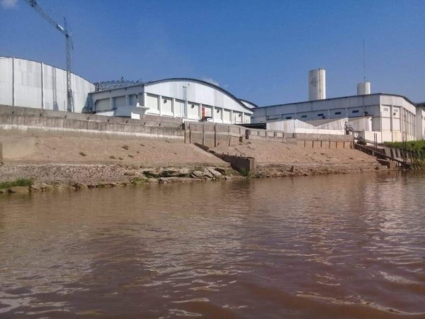 Disponen apertura de causa penal a Frigorífico Concepción | OnLivePy