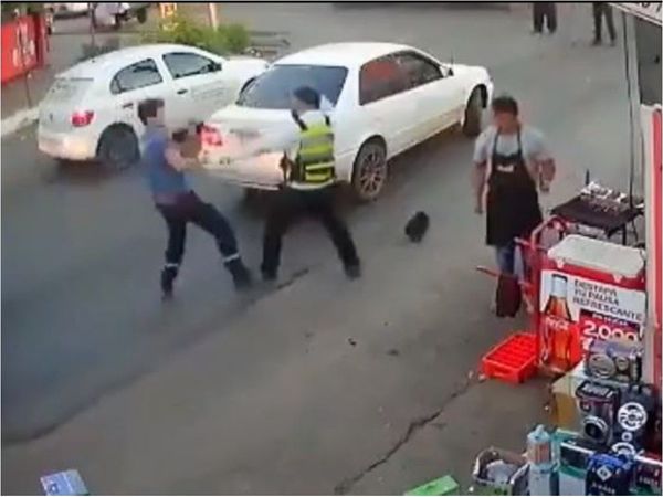 Camionero garroteó a un zorro que le paró
