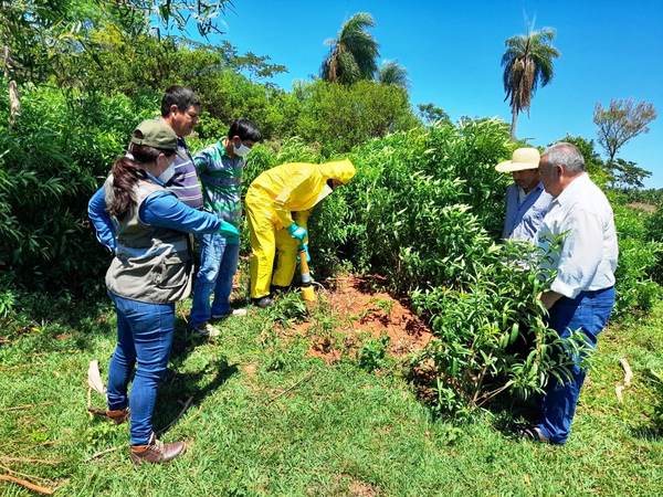 Productores de Cordillera se capacitaron en manejo integrado de hormigas cortadoras | .::Agencia IP::.