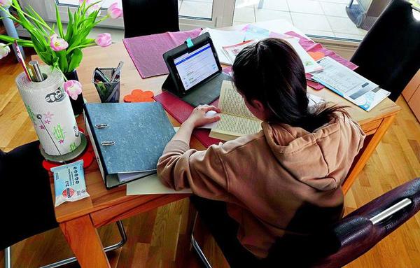 Reclaman que exámenes finales no coinciden con contenidos desarrollados en el año