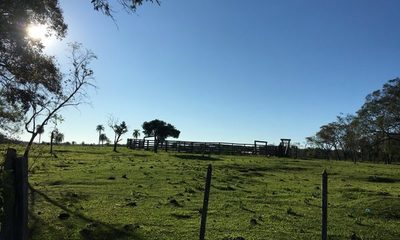 Conservación de la naturaleza y producción: dos caras de la misma moneda