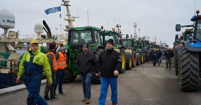La Nación / Dinamarca: con 500 tractores protestan por sacrificio de visones