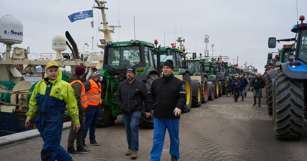 La Nación / Dinamarca: con 500 tractores protestan por sacrificio de visones