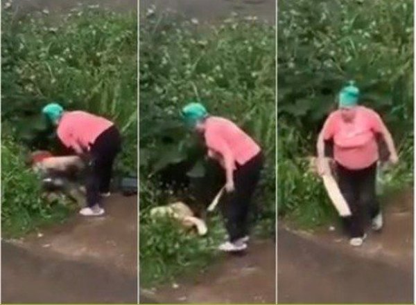Crónica / (VIDEO) Y la hierba se movía, se movía, se movía...