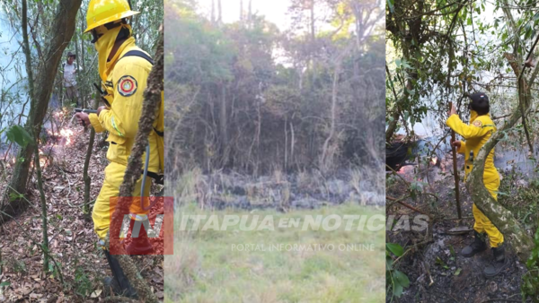 VARIOS INCENDIOS DEMANDARON EL TRABAJO DE BOMBEROS.