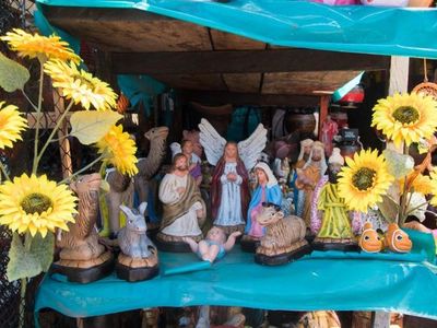 Girasoles se compran a full para adornar los pesebres