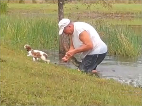 Hombre lucha contra cocodrilo para rescatar a su cachorro