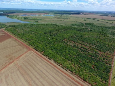 Tatí Yupí: Reforestación ya comienza a dar resultados - Noticde.com