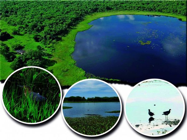 Laguna Ka'aguy: Un encanto natural que podría ser un atractivo turístico