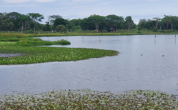 Laguna Ka’aguy: Un encanto natural que podría ser un atractivo turístico