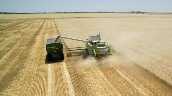 Nueva partida de envíos de trigo arranca con 78 % de reducción