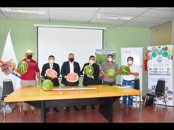 1a. EDICIÓN DE LA FERIA Y EXPOSICIÓN DE SANDÍA EN SAN PEDRO DEL PARANÁ