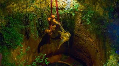 Gran operativo para rescatar a elefante que cayó a un pozo en India