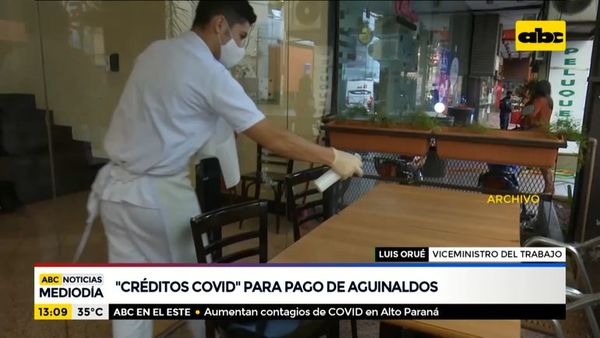 Instan a empresarios a abonar aguinaldo - ABC Noticias - ABC Color