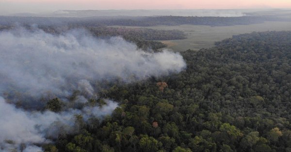 La Nación / Arde reserva San Rafael y fuego acorrala a comunidades: urgen asistencia de la SEN