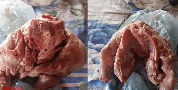 Le vendieron carne de perro haciéndola pasar por cerdo, denuncia - Noticiero Paraguay