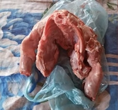 Itapúa: Mujer denuncia que le vendieron carne de perro en lugar de carne de cerdo » Ñanduti