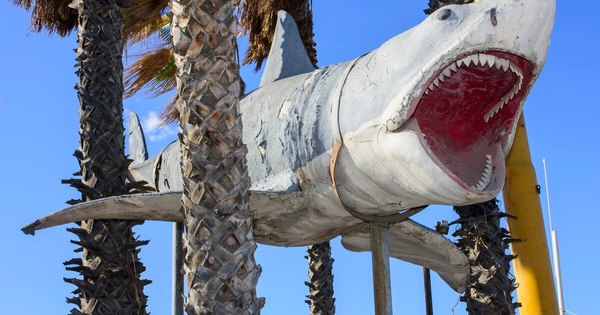 La Nación / “Tiburón” se instala en el Museo de los Oscar en Los Ángeles