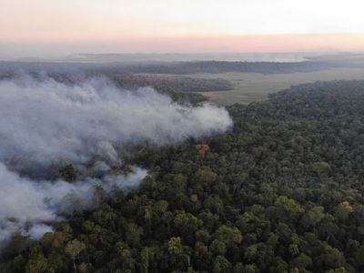 Incendio consume reserva San Rafael y piden declarar emergencia 
