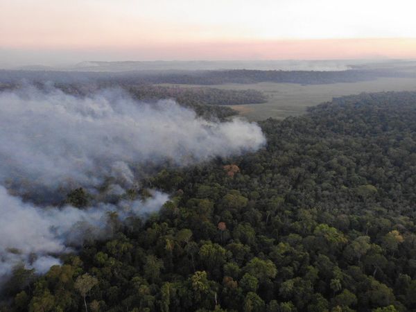 Incendio consume reserva San Rafael y piden declarar emergencia 