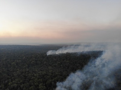 Incendio devora reserva San Rafael y urgen declarar estado de emergencia » Ñanduti