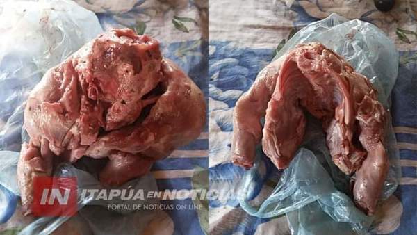 Pensó que compró carne de cerdo pero carnicero ndaje le vendió carne de “Firulais”