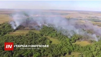 BOMBEROS PRESENTARÁN DENUNCIA POR LA QUEMA INTENCIONAL DE LAS RESERVAS FORESTALES