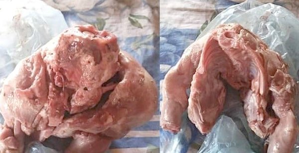 Crónica / ¡Ndi!: Le vendieron un ¡chancho que ladraba!