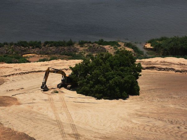 Critican a Mades por no dar informe sobre situación de isla San Francisco