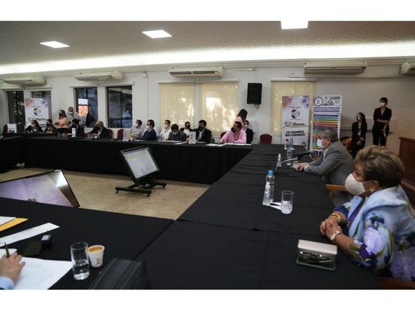 Proclaman electos a Bogarín y Paciello para el Consejo