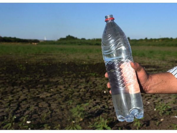 Laguna: Firma acusada de daño se niega a pagar multa