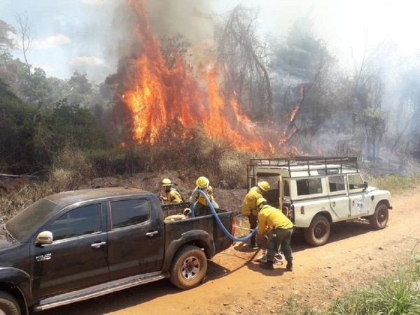 INCENDIO CONSUME RESERVA FORESTAL SAN RAFAEL Y PIDEN DECLARAR EMERGENCIA NACIONAL